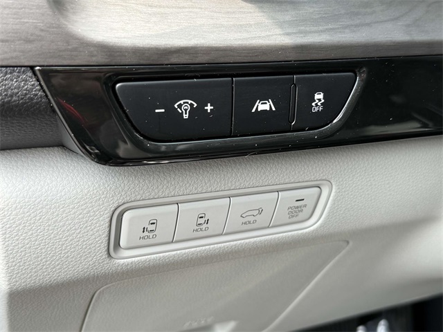 2024 Kia Carnival SX photo 25