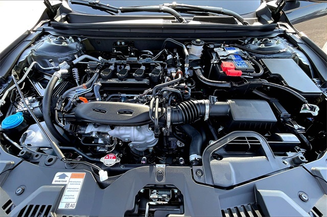 2025 Honda Accord 1.5T LX photo 14