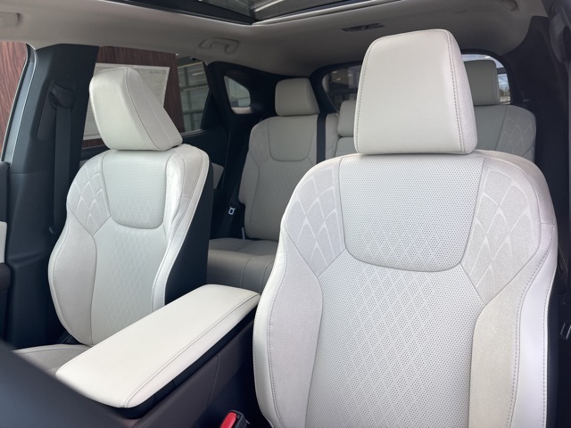 2025 Lexus RX 350 Luxury photo 29
