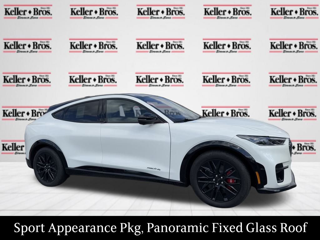 2025 Ford Mustang Mach-E Premium AWD's photo