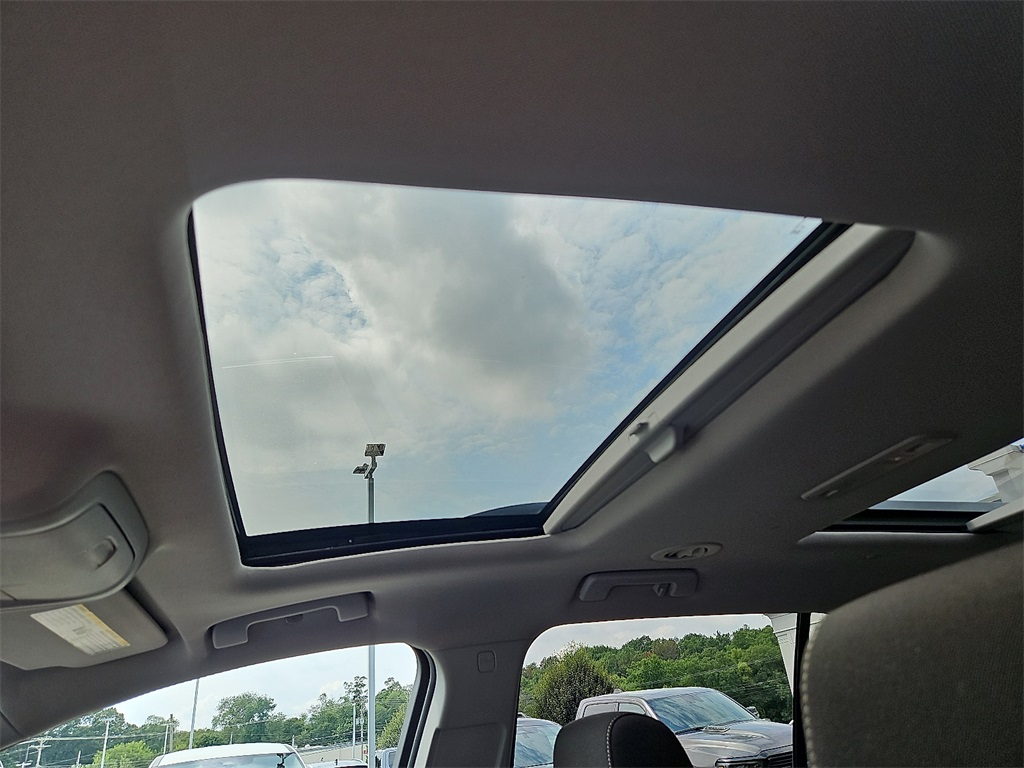 View 15