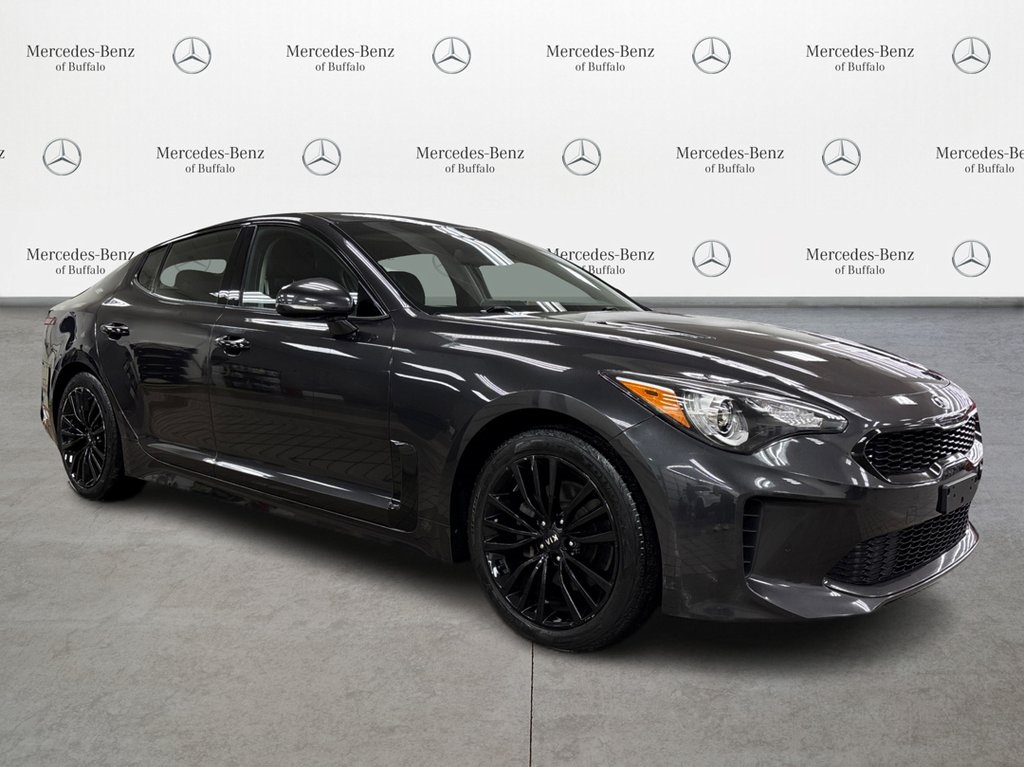 2019 Kia Stinger photo 3