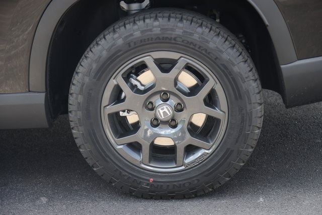 2025 Honda Pilot TrailSport photo 4
