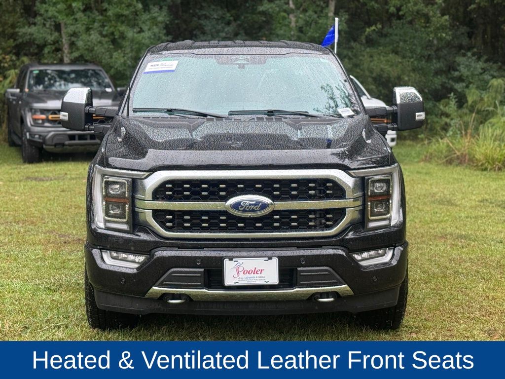 2023 Ford F-150 Platinum photo 2