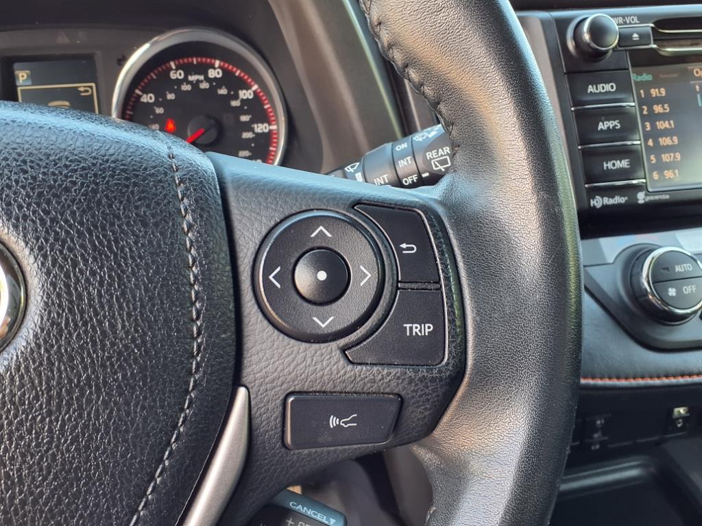 2017 Toyota RAV4 SE photo 16