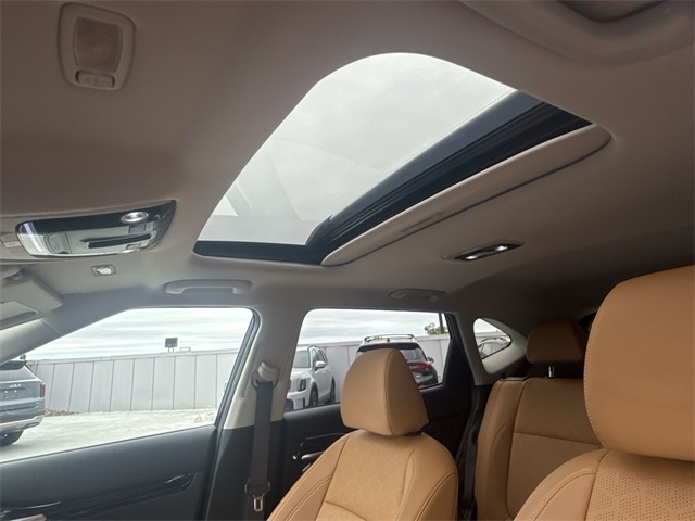 2024 Kia Seltos EX photo 23