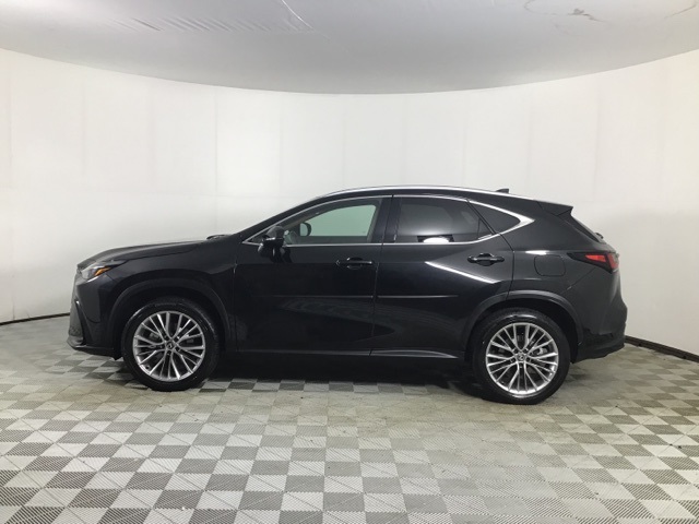 2025 Lexus NX 350h Premium photo 3
