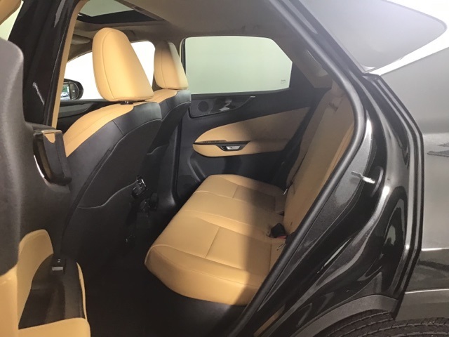 2025 Lexus NX 350h Premium photo 17