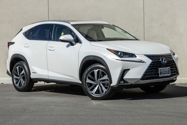 2019 Lexus NX 300h Luxury photo 15