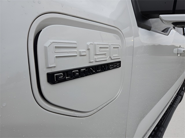 2023 Ford F-150 Lightning Platinum photo 19