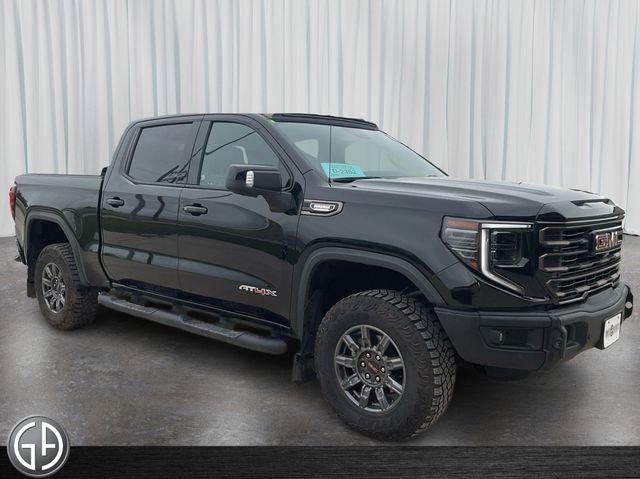 2024 Gmc Sierra 1500 AT4X photo 3