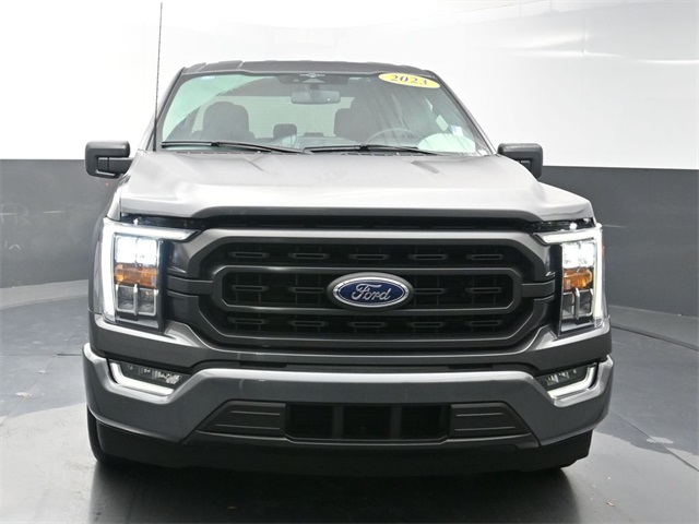 2023 Ford F-150 XLT photo 2