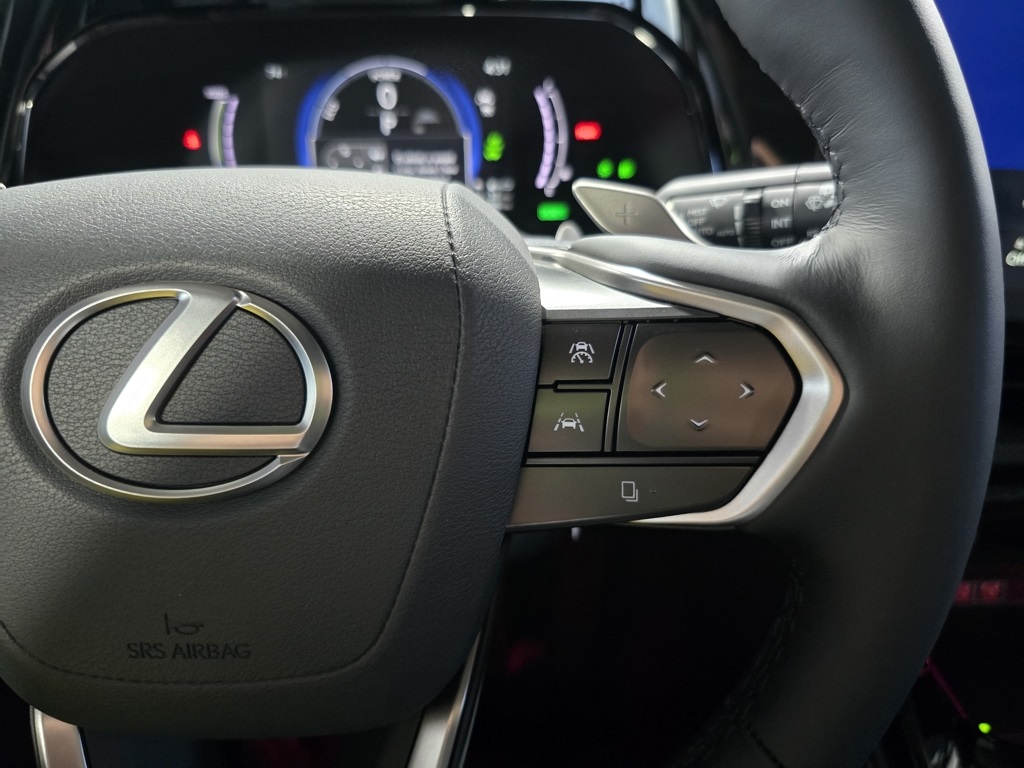 2025 Lexus NX 450h+ Luxury AWD photo 14