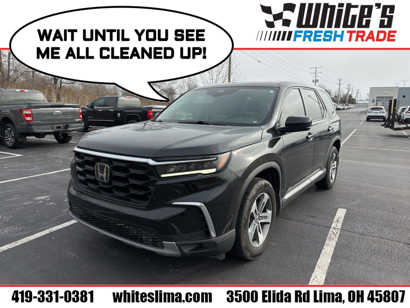 2023 Honda Pilot EX-L's photo