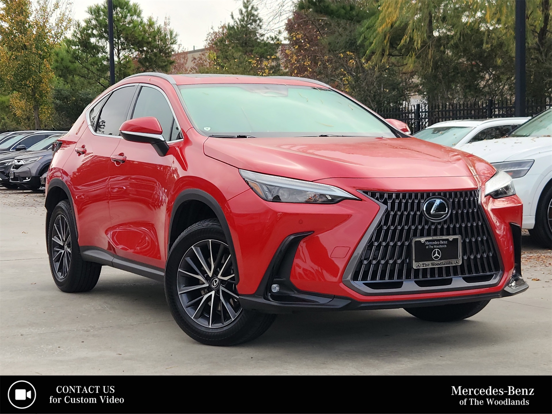 2024 Lexus NX 250's photo