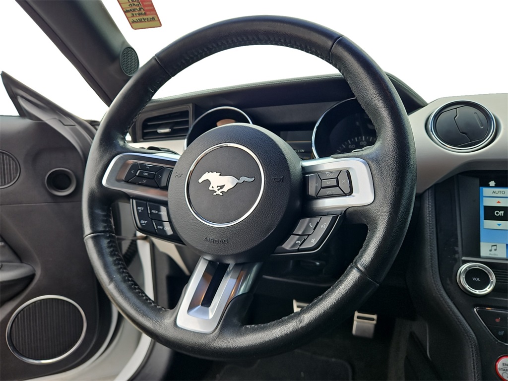 2017 Ford Mustang EcoBoost Premium photo 12