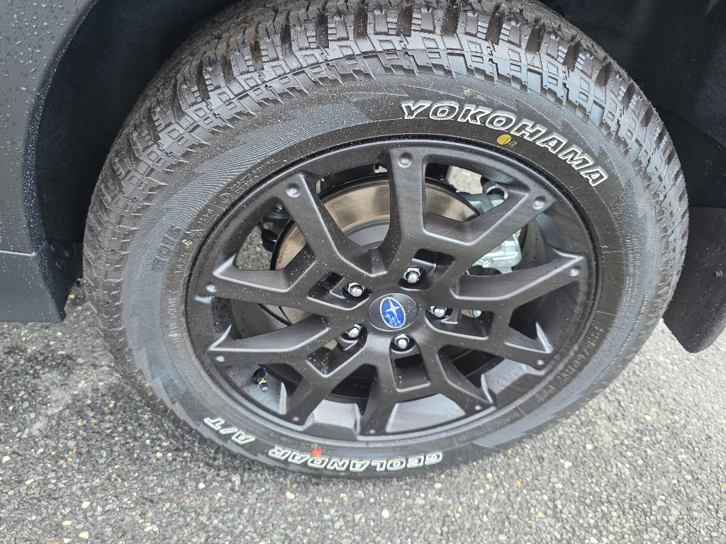 2025 Subaru Crosstrek Wilderness photo 4