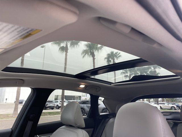 2024 Infiniti QX50 Luxe photo 10