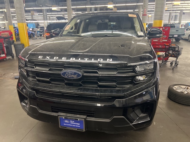 2025 Ford Expedition Active's photo