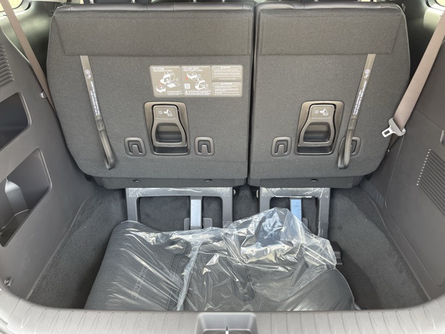 2026 Kia Carnival SX Prestige photo 26