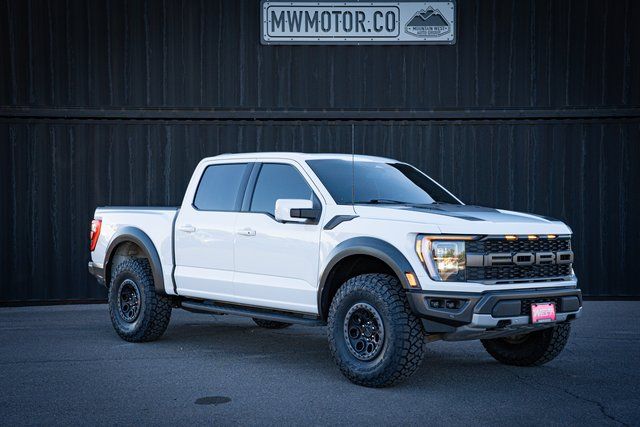 2022 Ford F-150 Raptor's photo