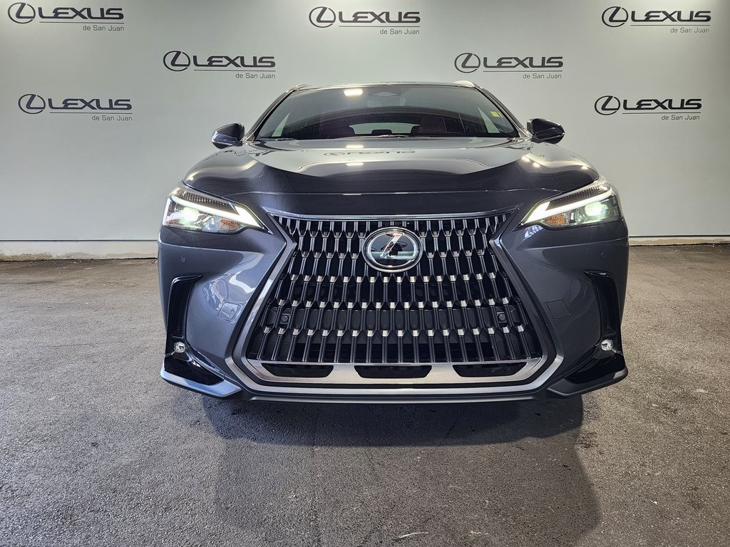 2025 Lexus NX 250 photo 5