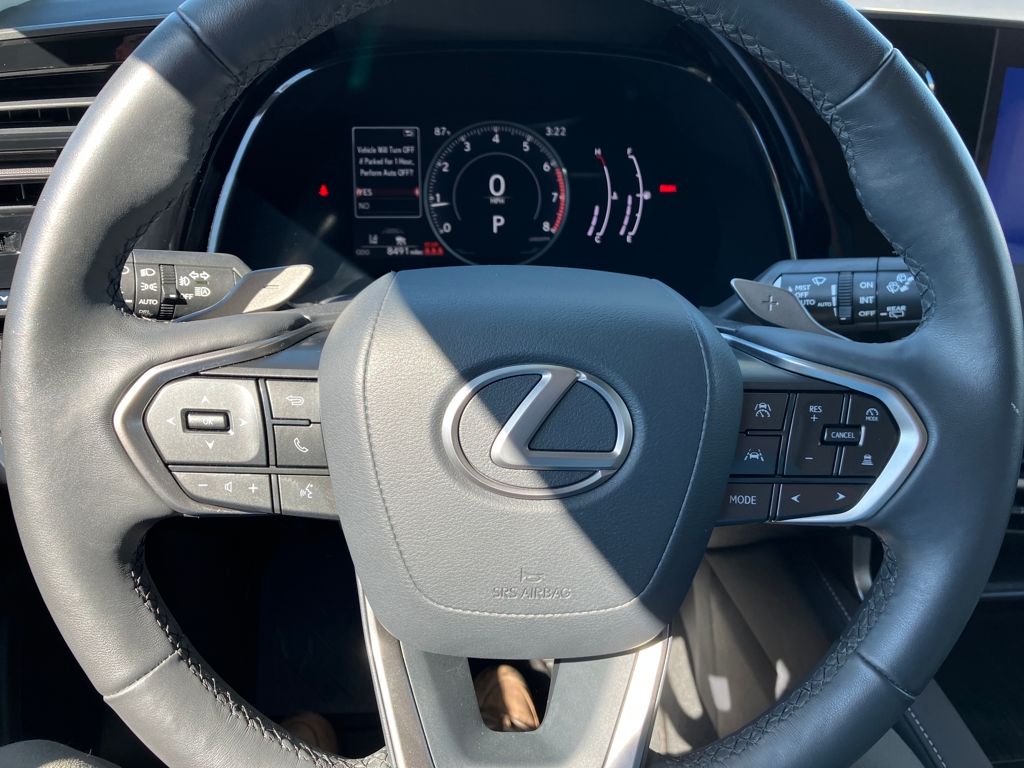 2023 Lexus RX photo 16