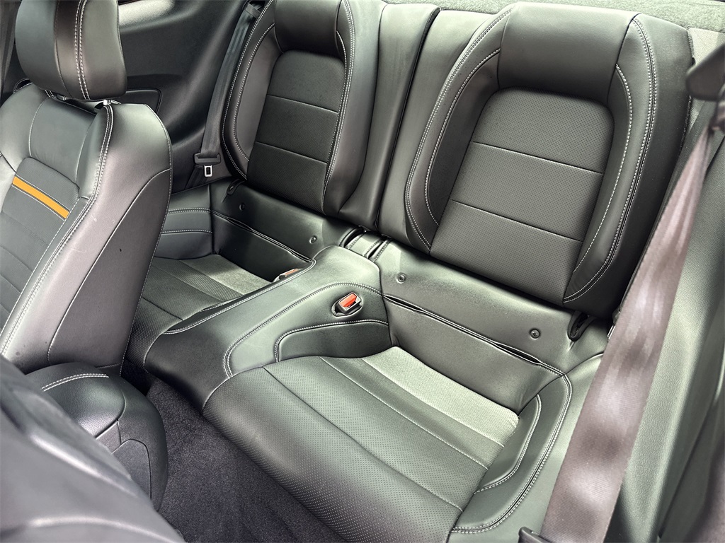2023 Ford Mustang Mach 1 photo 23