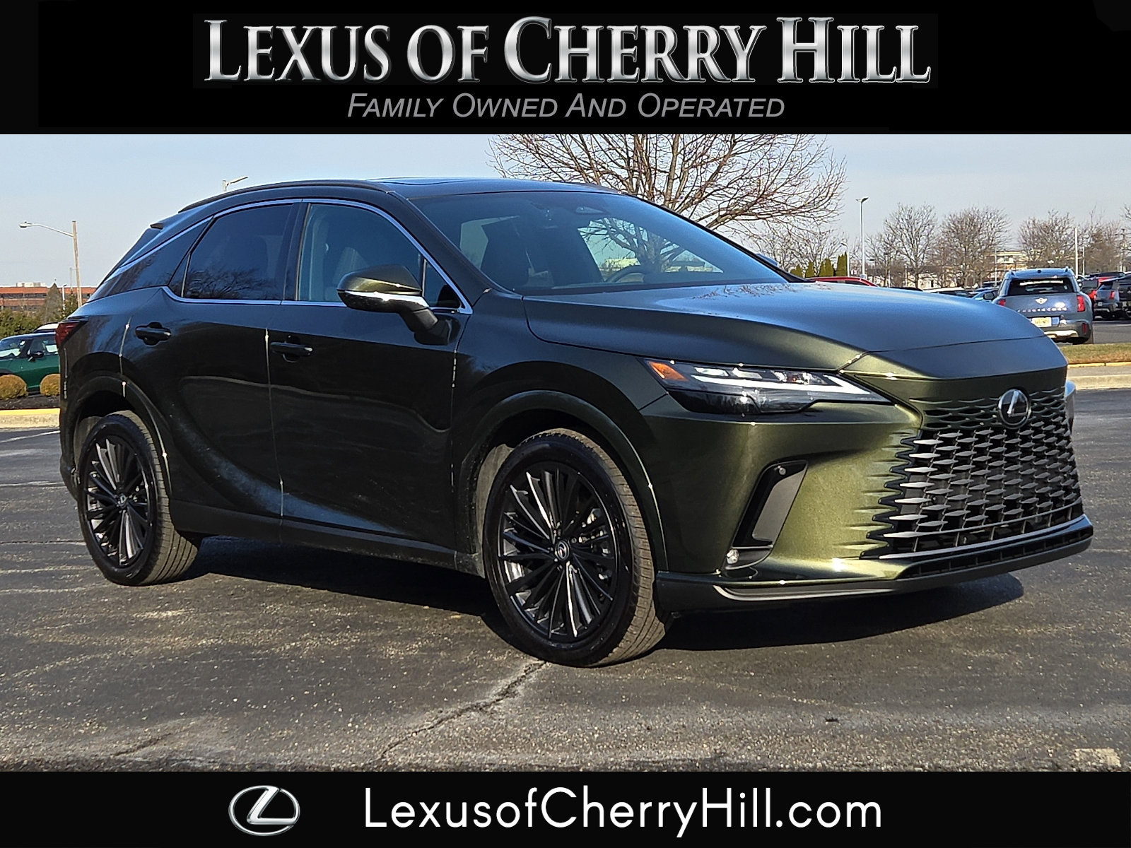 2025 Lexus RX 350's photo