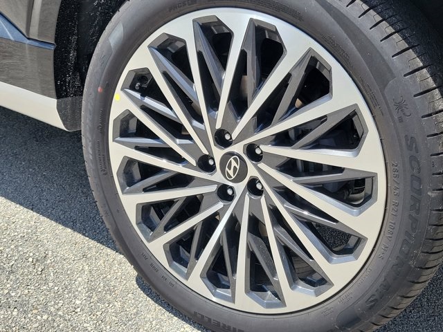 2026 Hyundai Palisade Calligraphy photo 4