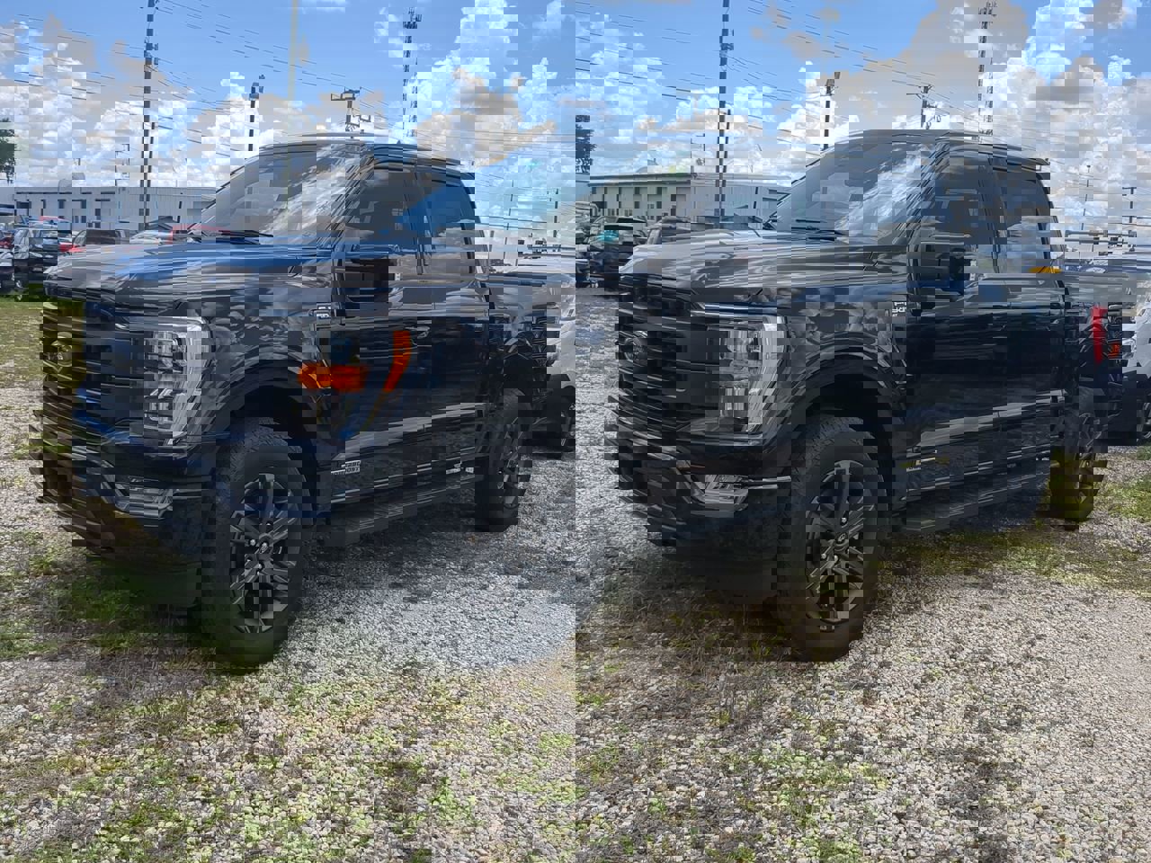 2023 Ford F-150 XL photo 8
