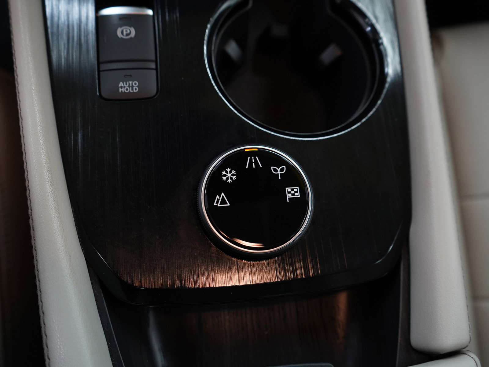 2021 Nissan Rogue SL photo 25