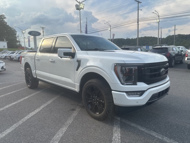 2023 Ford F-150 Platinum photo 2