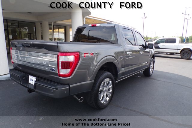 2022 Ford F-150 Platinum photo 9