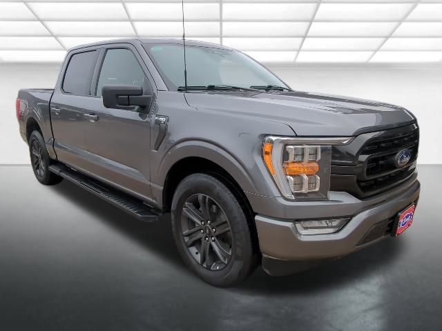 2023 Ford F-150 XL's photo