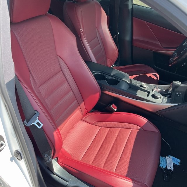 2020 Lexus IS 300 F SPORT photo 10