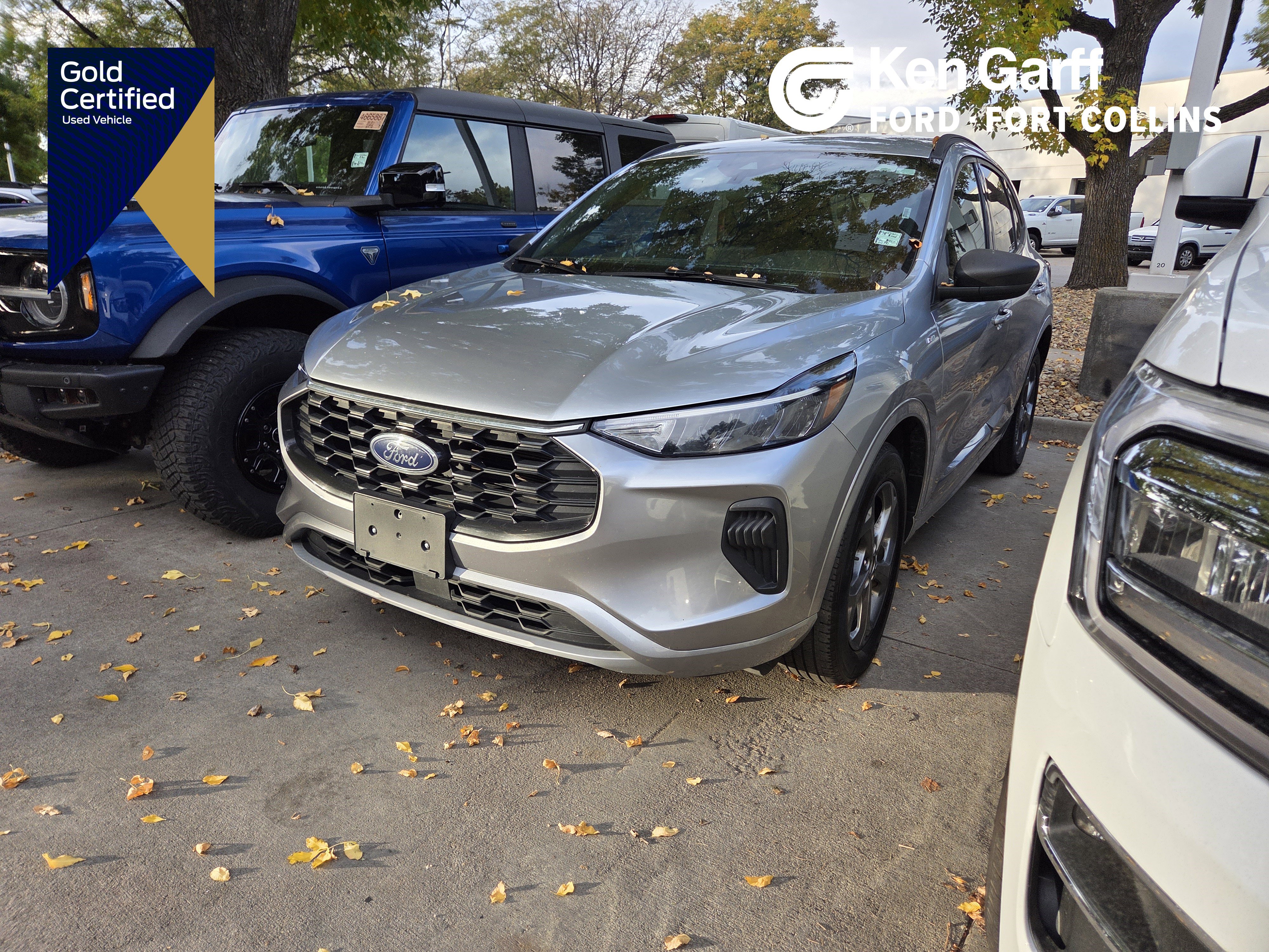 2023 Ford Escape ST-Line