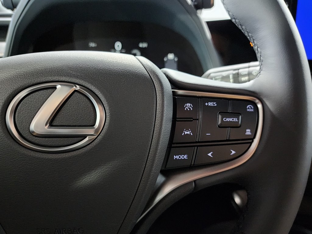 2025 Lexus UX photo 14