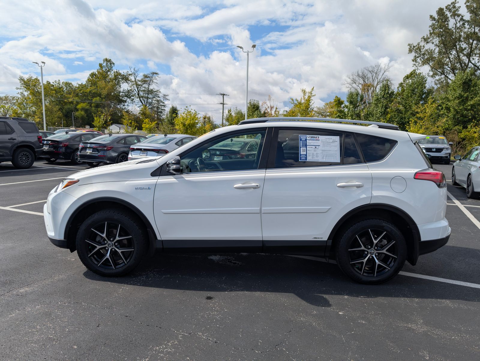 2018 Toyota RAV4 Hybrid SE photo 3