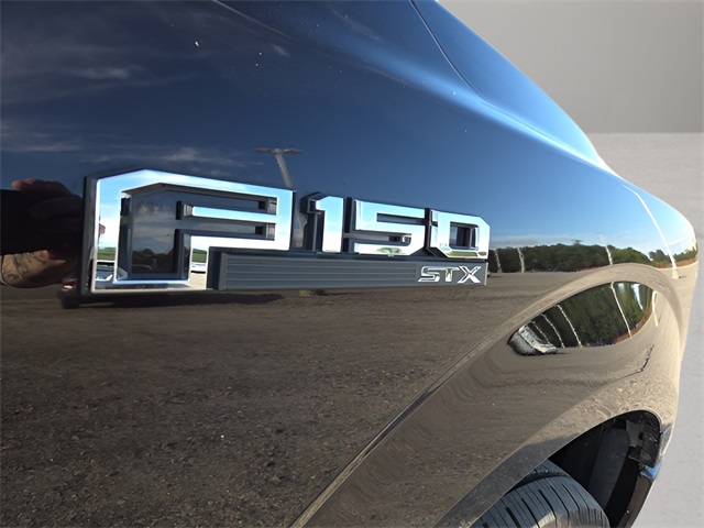 2019 Ford F-150 XL photo 19