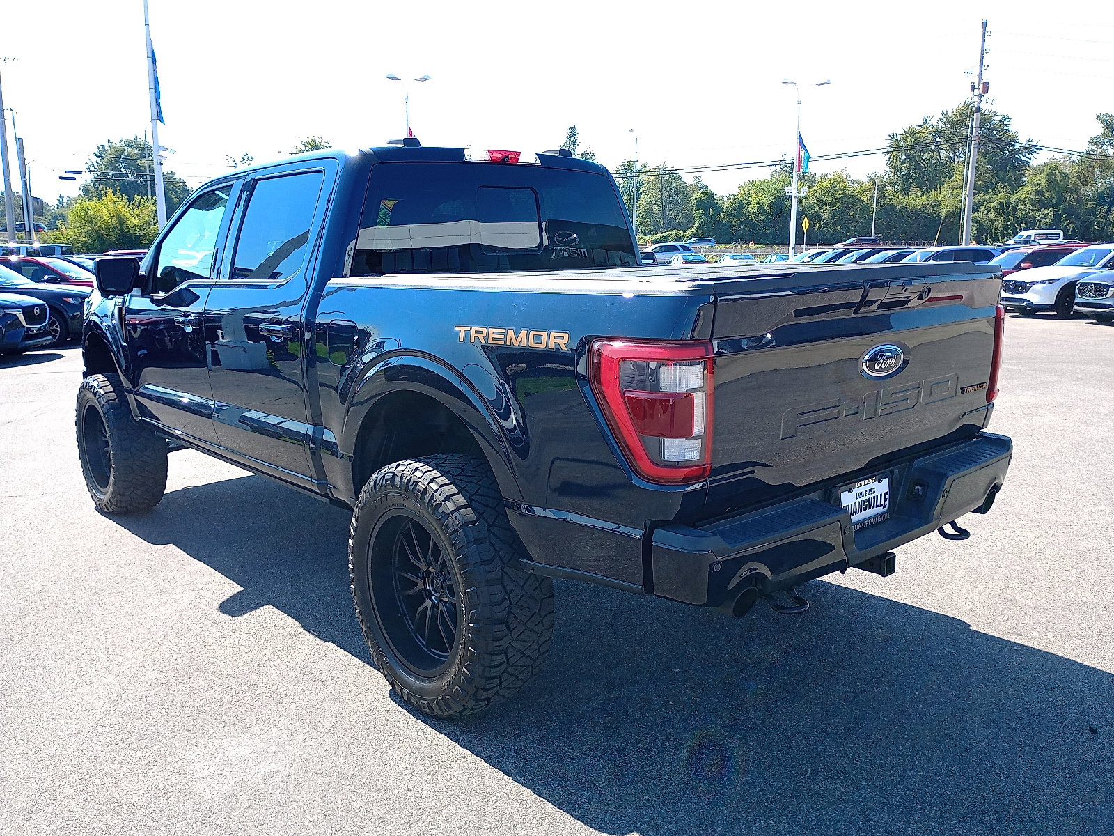 2022 Ford F-150 Tremor photo 5