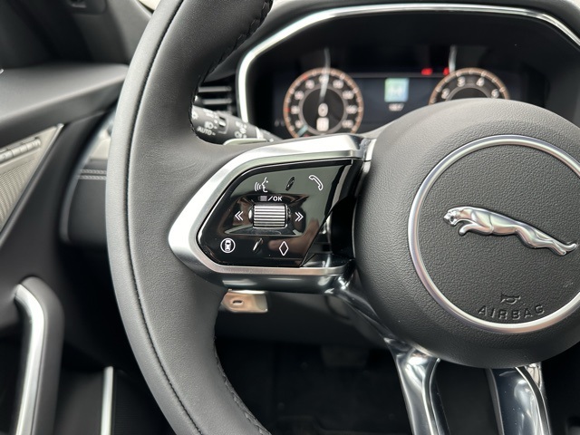 2026 Jaguar F-PACE P250 R-Dynamic S photo 18