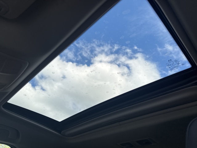 View 14