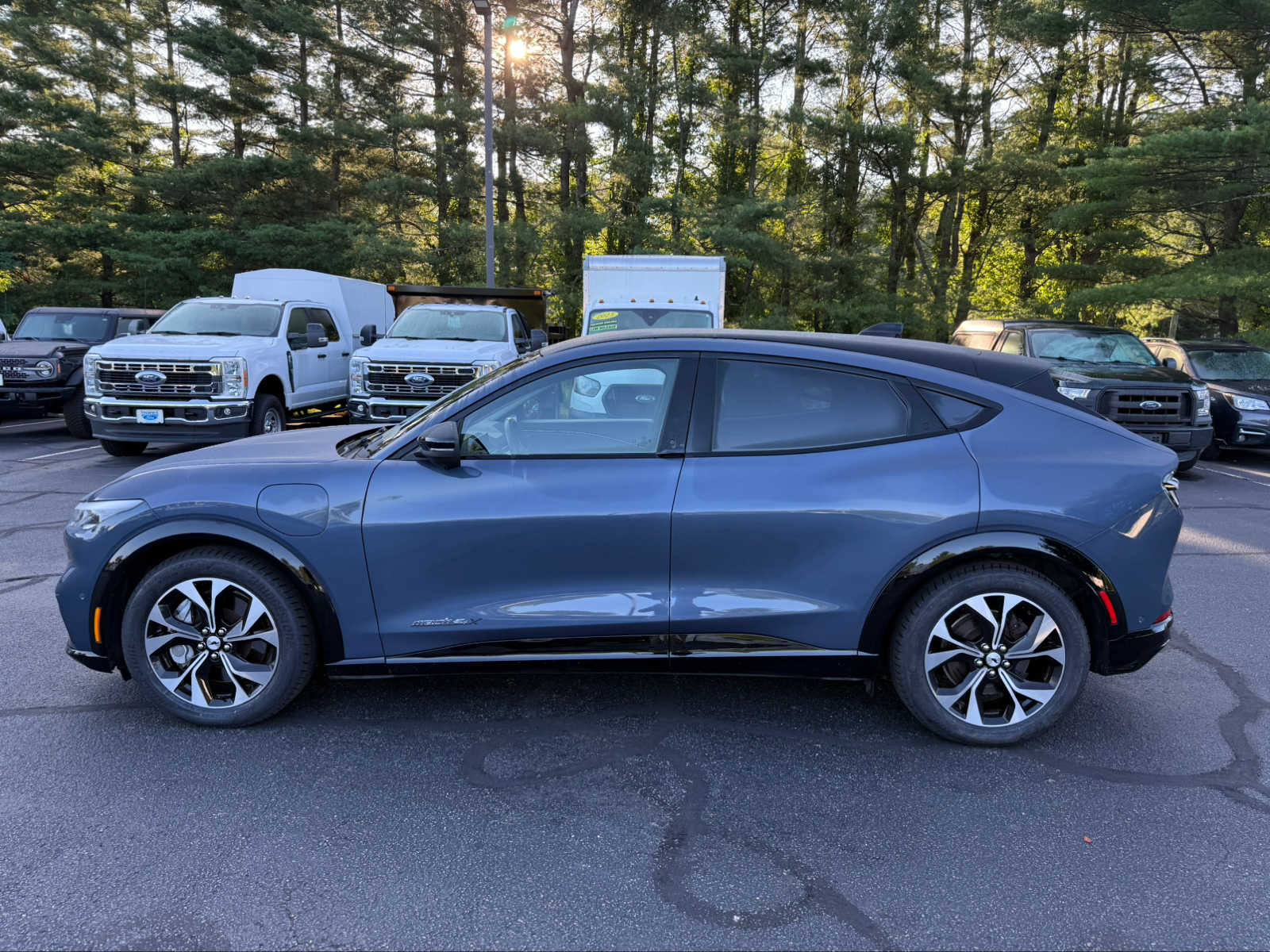 Used 2021 Ford Mustang Mach-E Premium AWD with VIN 3FMTK3SU0MMA03391 for sale in Litchfield, CT
