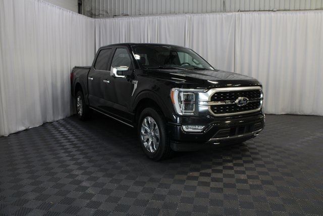 2021 Ford F-150 Platinum photo 31