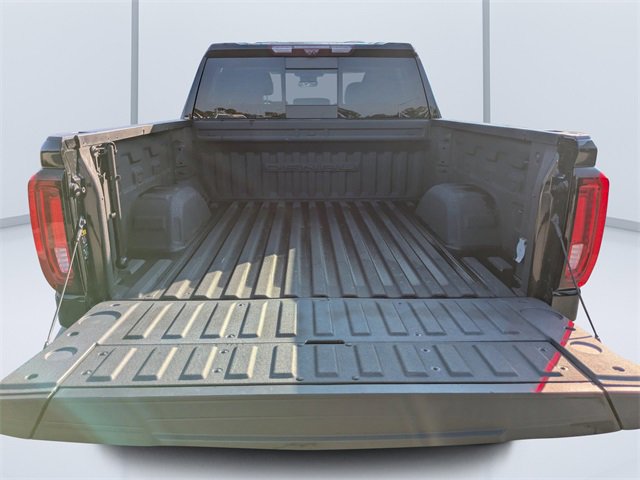 2023 Gmc Sierra 1500 Denali photo 12