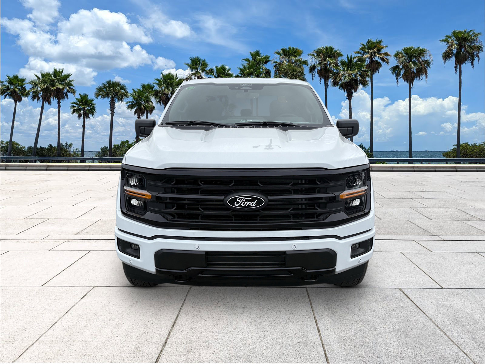 2025 Ford F-150 XLT photo 3