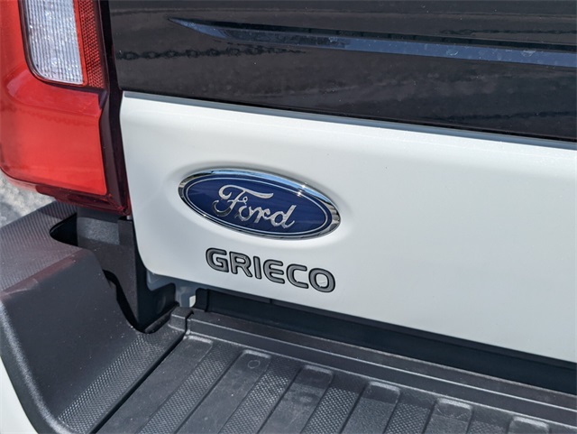 2025 Ford F-250 Platinum photo 11