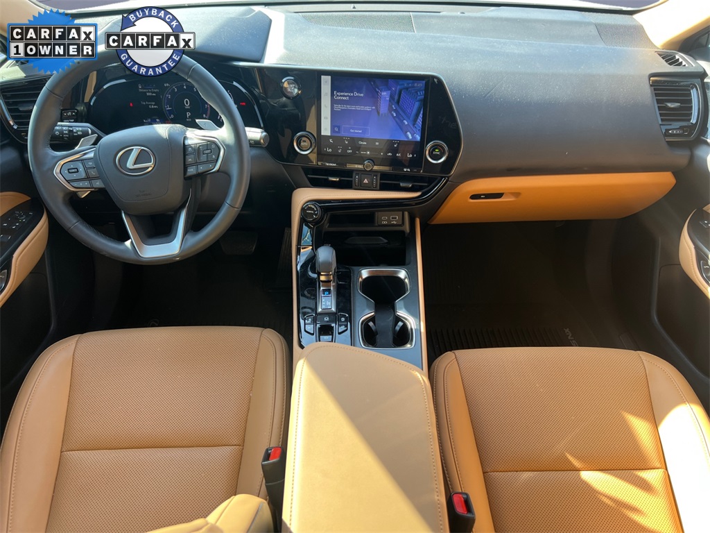 2024 Lexus NX 350 photo 11