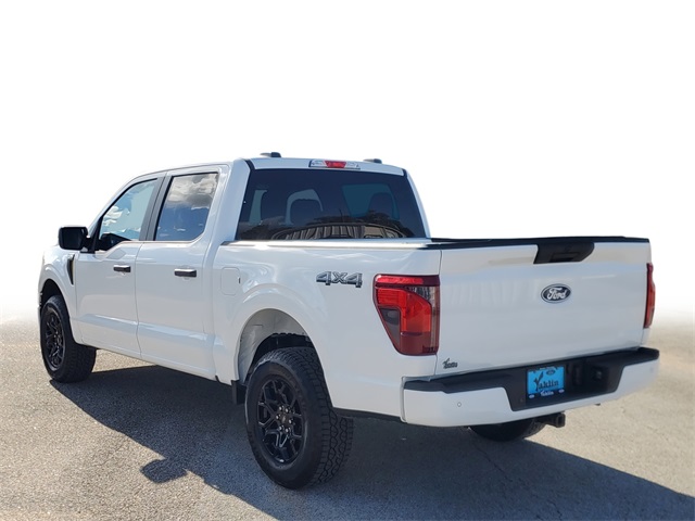 2025 Ford F-150 STX photo 3